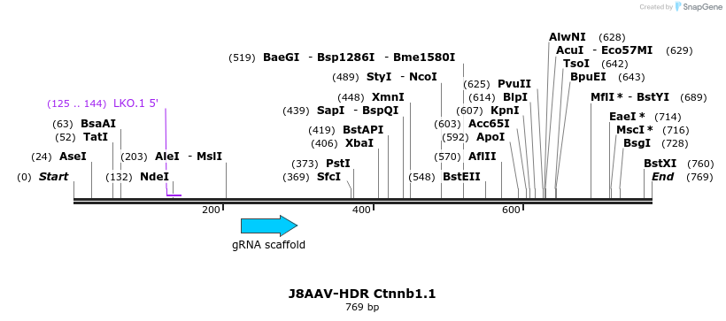 138575_map