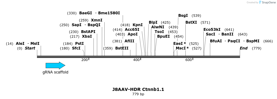 138577_map
