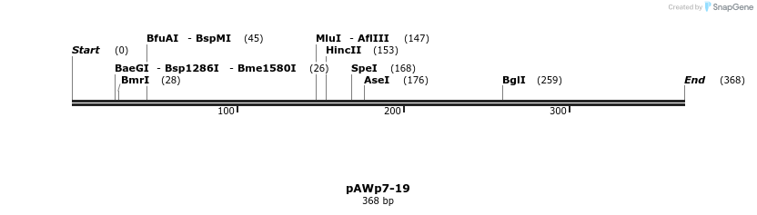 138583_map