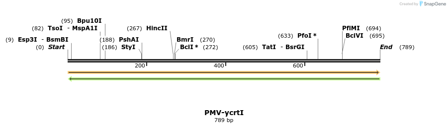 138590_map