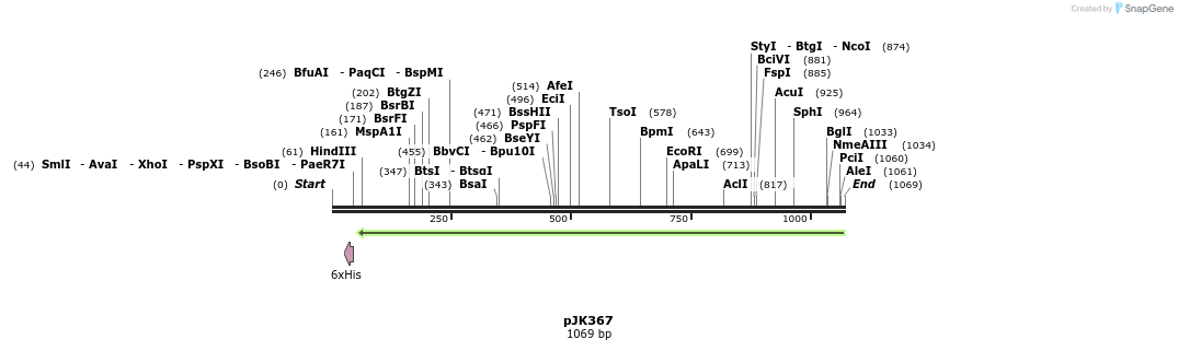 138598_map