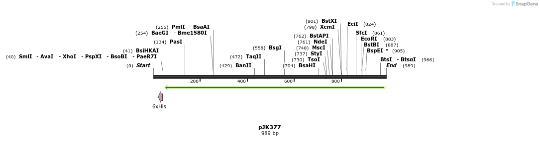 138601_map