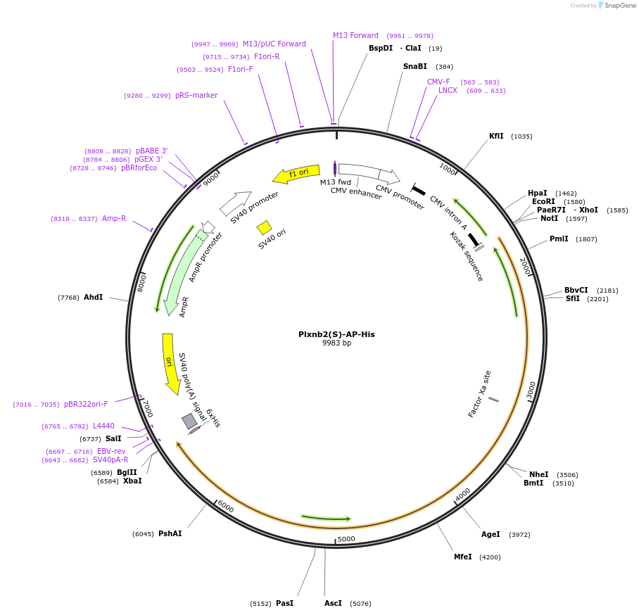 138603_map