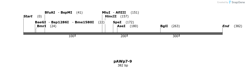 138607_map