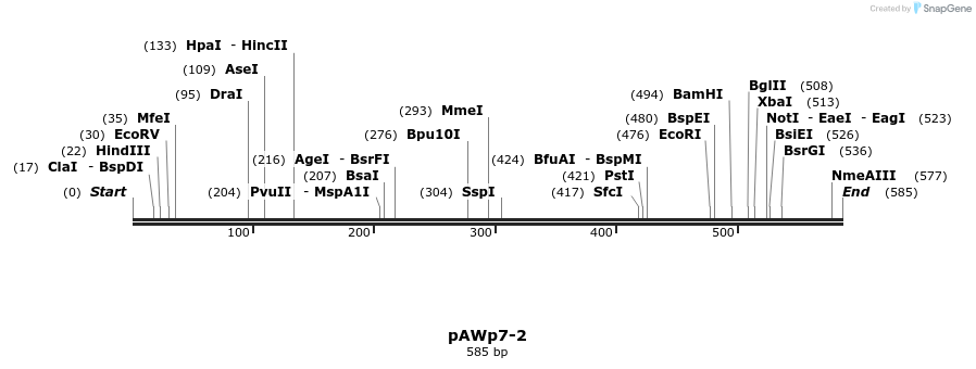138615_map