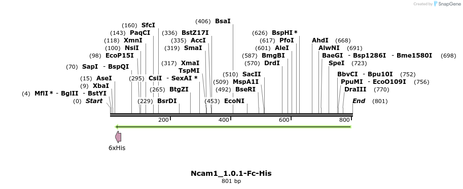 138616_map