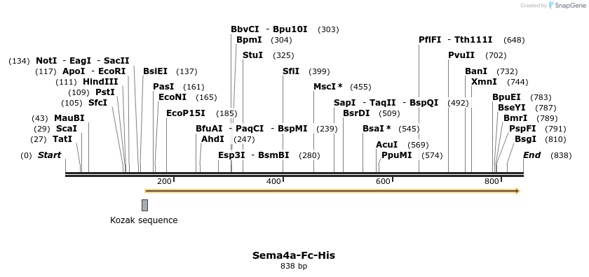 138618_map