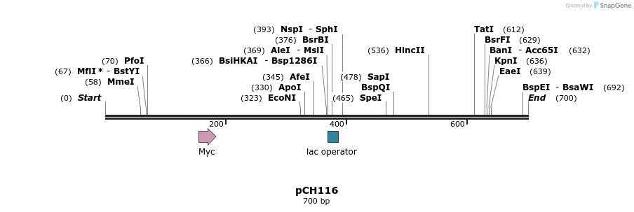138621_map