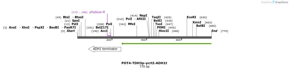 138623_map