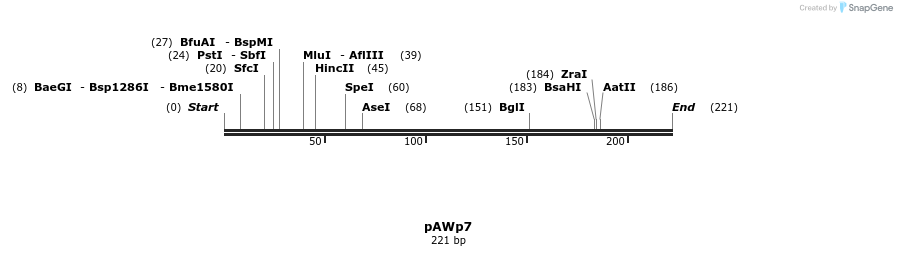 138625_map