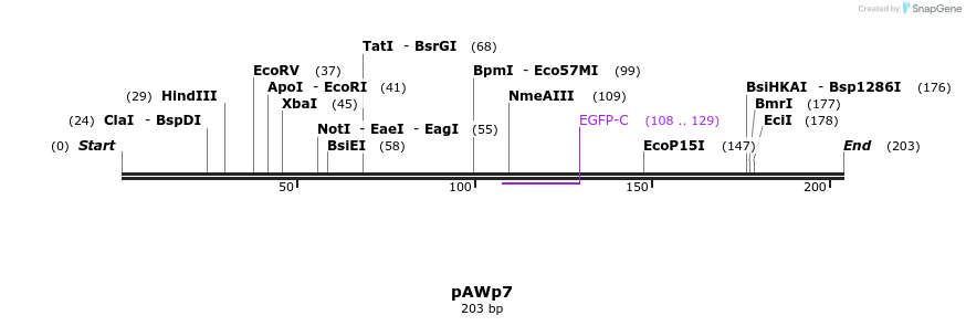 138626_map