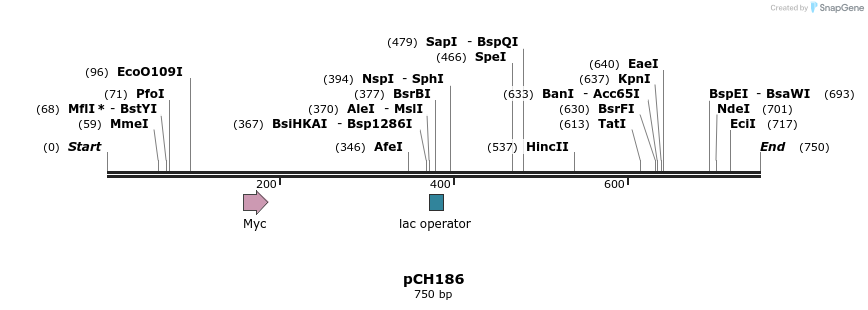 138628_map