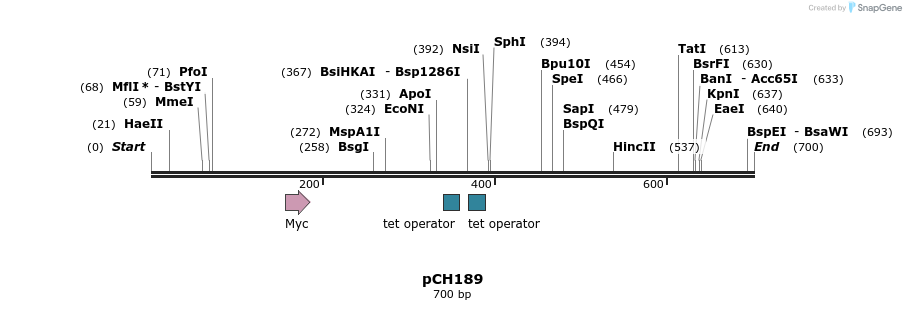 138635_map