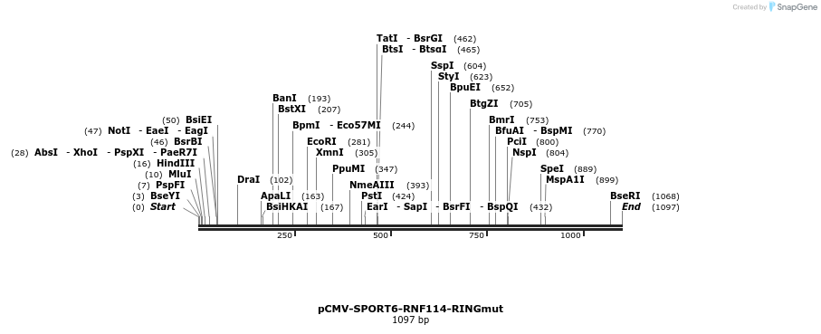 138638_map
