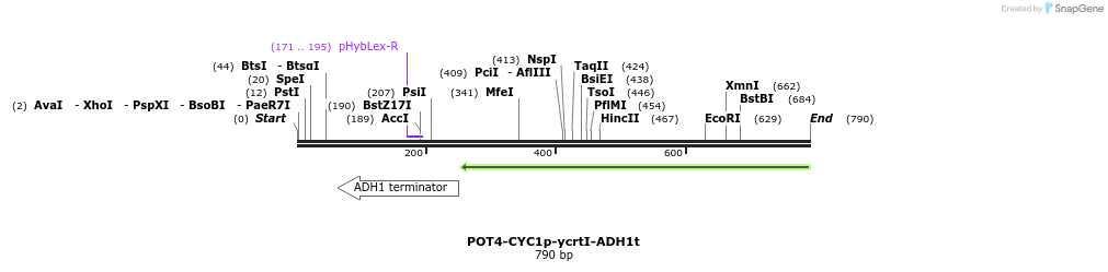 138640_map