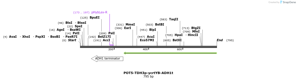 138646_map