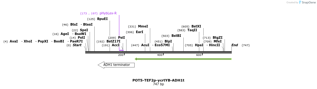 138647_map
