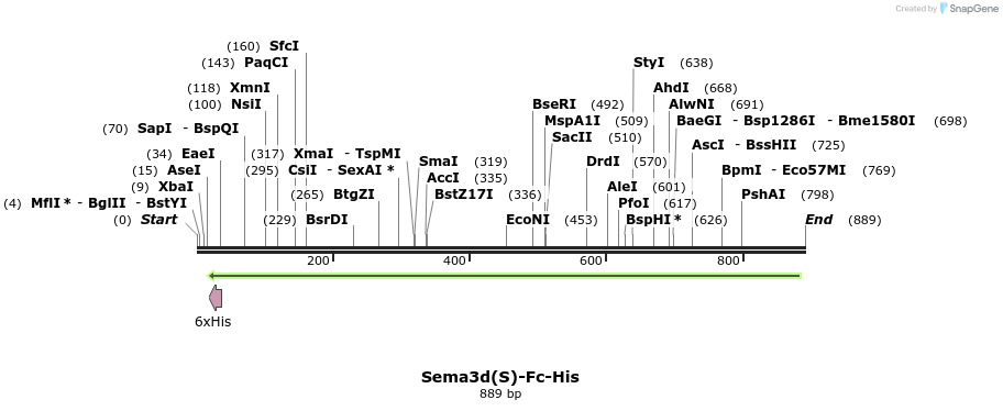 138672_map