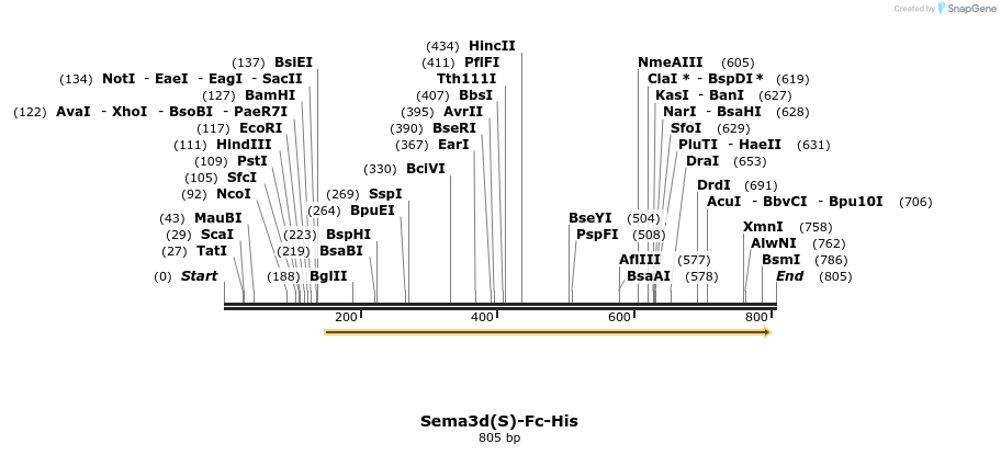 138673_map
