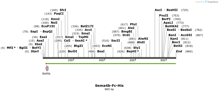 138676_map