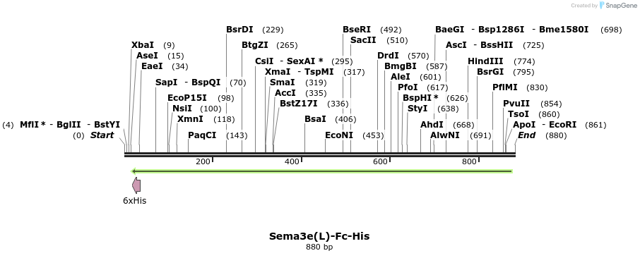 138679_map
