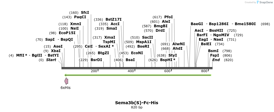 138682_map