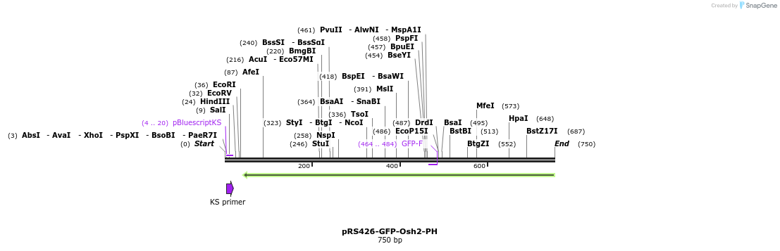 138688_map