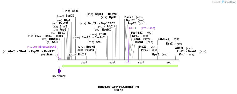 138693_map