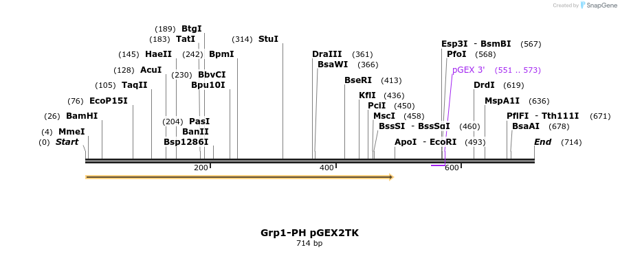 138699_map