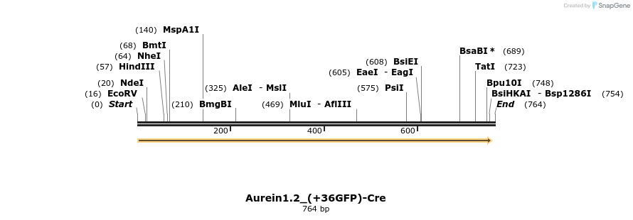 138700_map