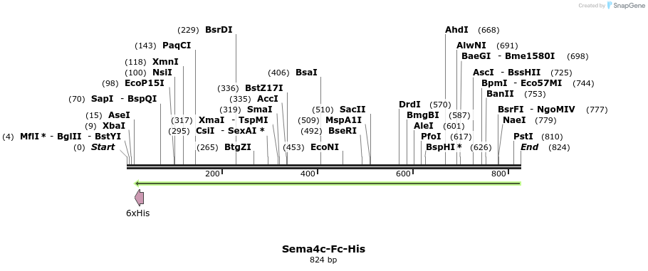 138703_map