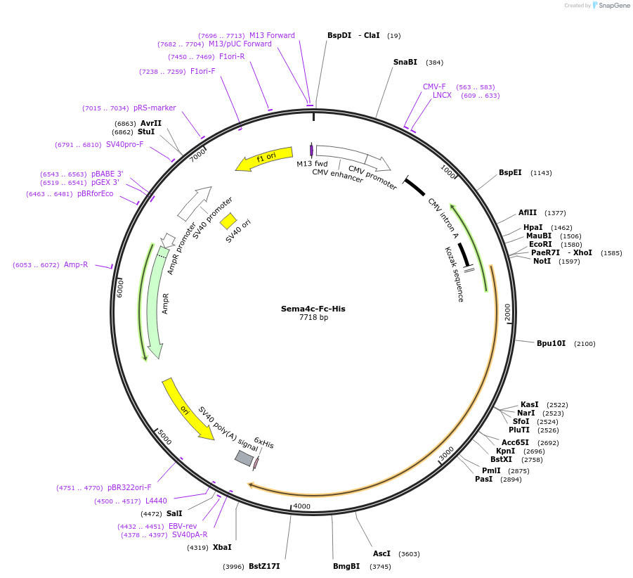 138704_map