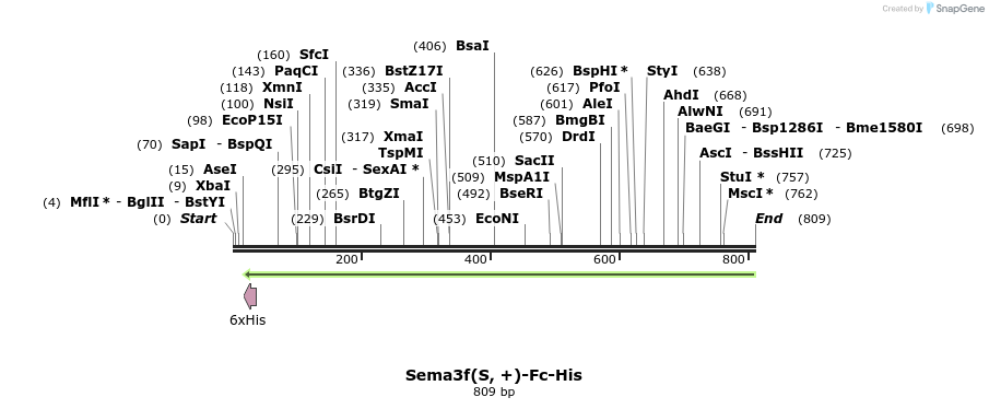 138707_map