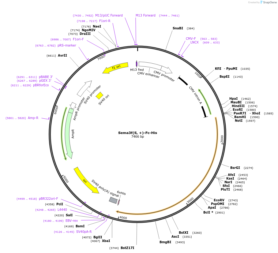 138708_map