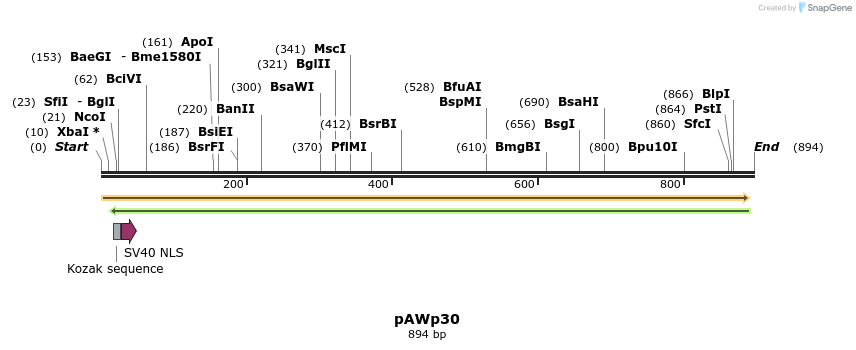 138719_map