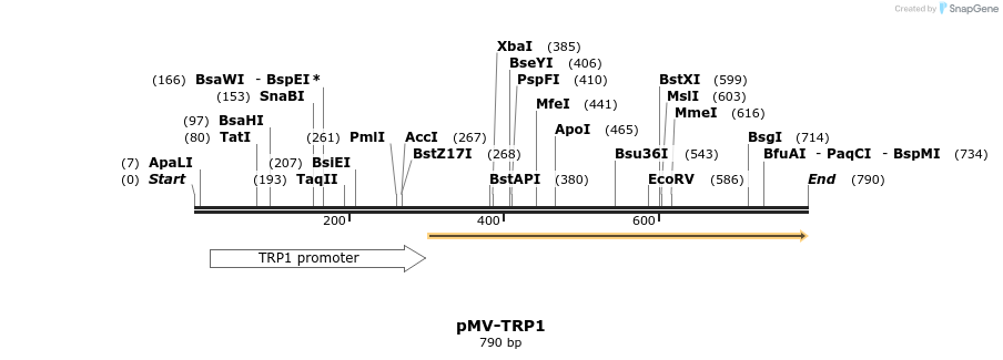 138724_map