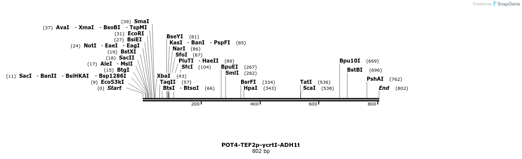 138729_map