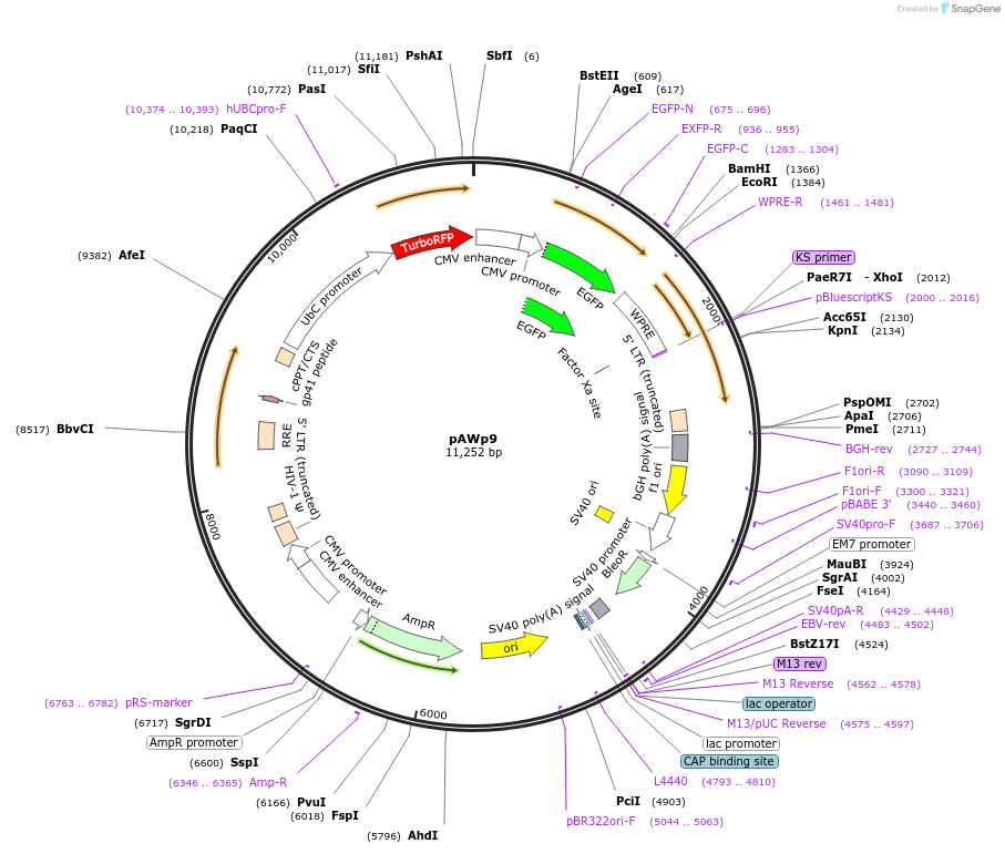 138734_map