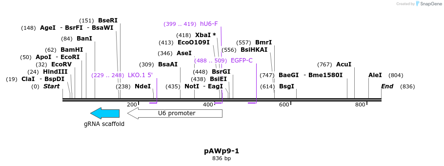 138736_map