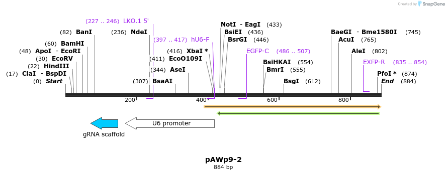 138740_map