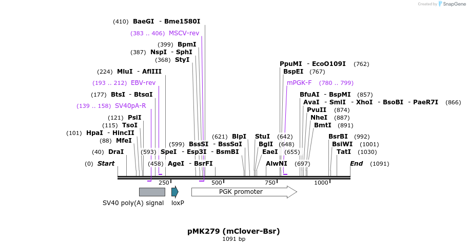 138743_map
