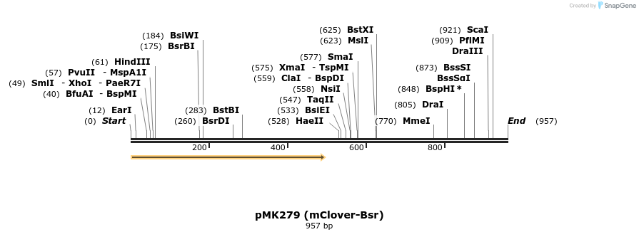 138744_map
