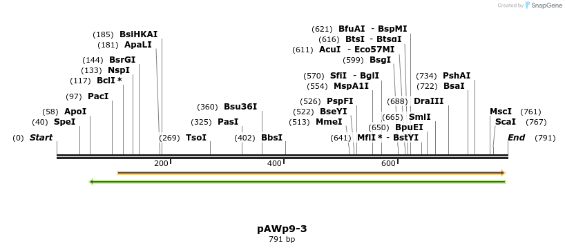 138745_map