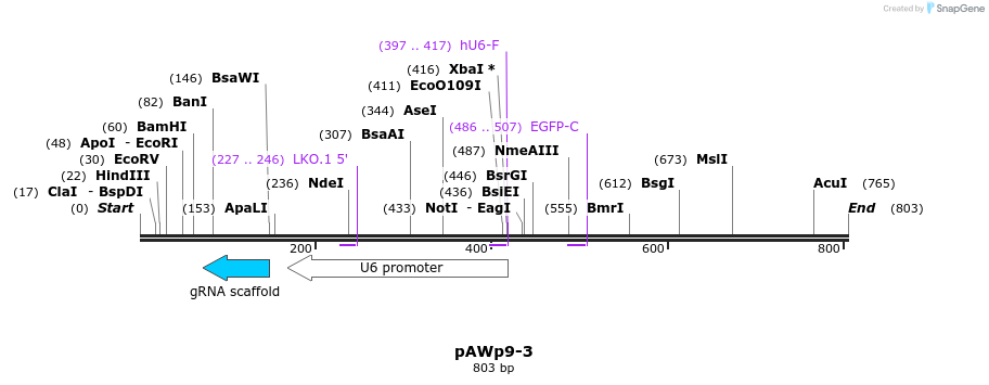138746_map