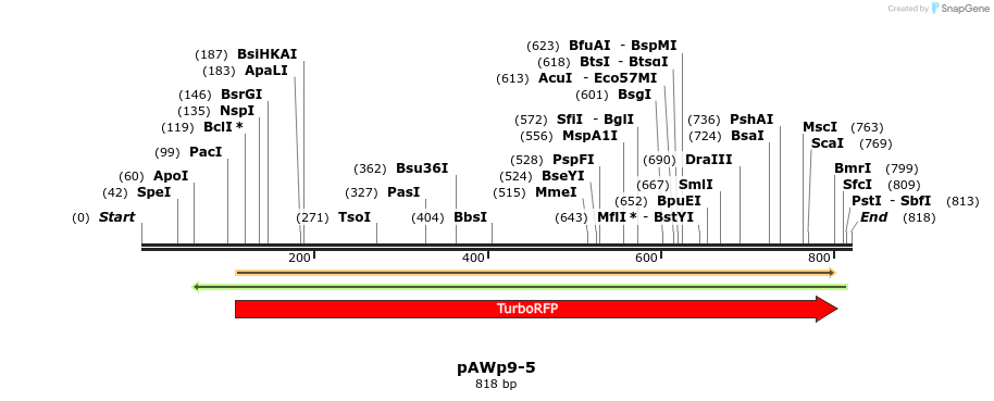 138750_map