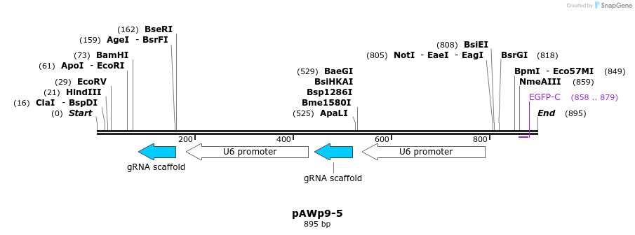 138751_map