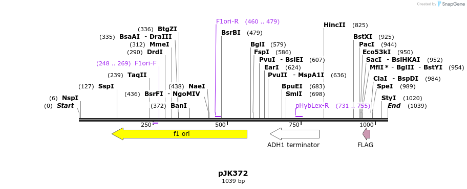 138752_map