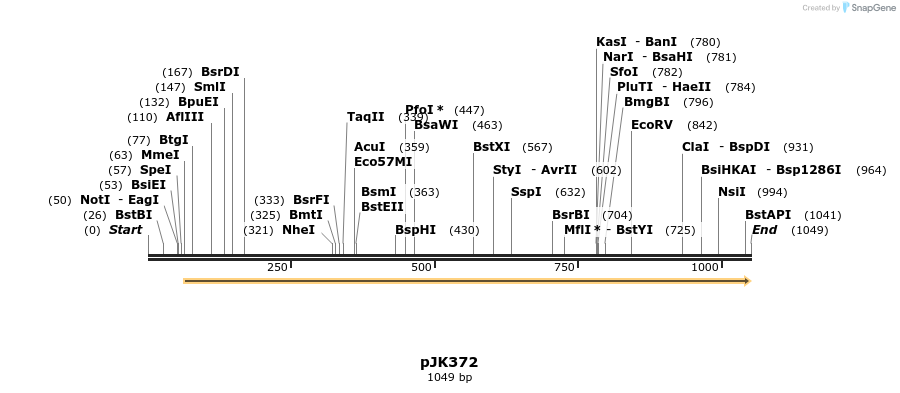 138753_map