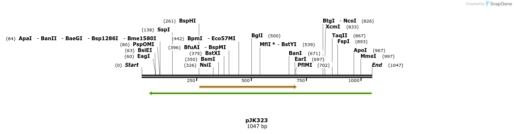 138756_map