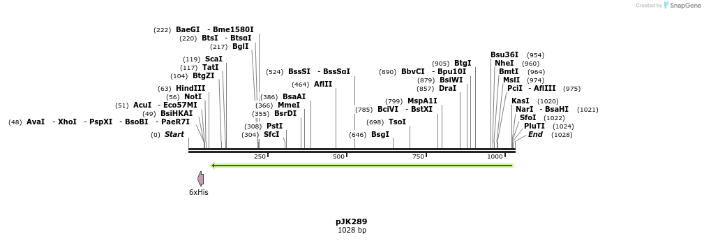 138763_map